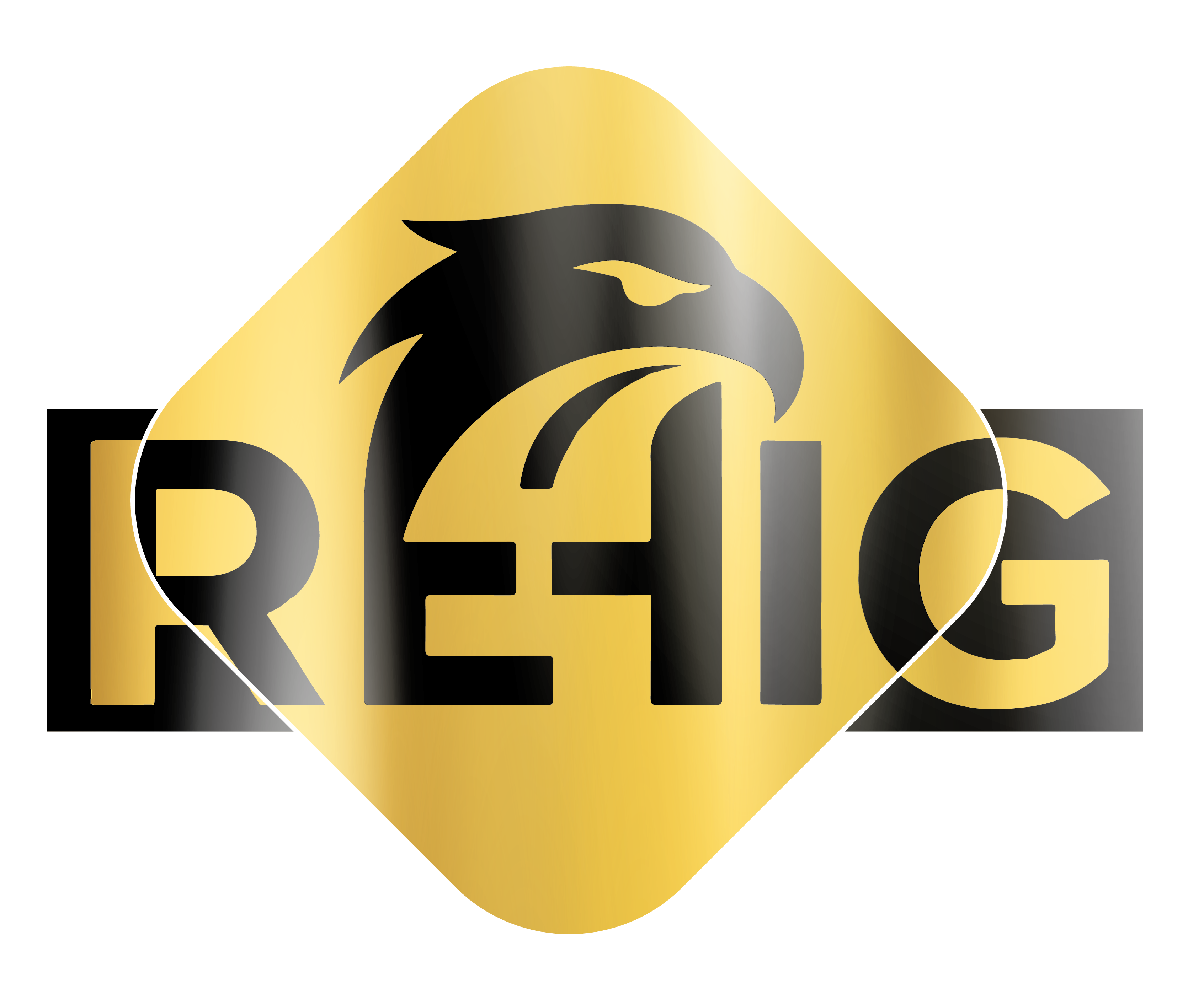 Rehoboth Impact Group